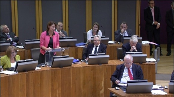 The leader of Plaid Cymru, Leanne Wood AM