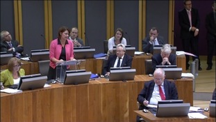 The leader of Plaid Cymru, Leanne Wood AM
