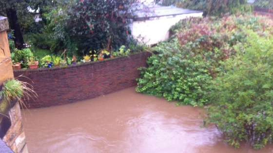 Flooded gardens on Teesside