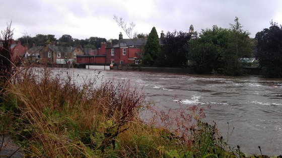 River Wansbeck