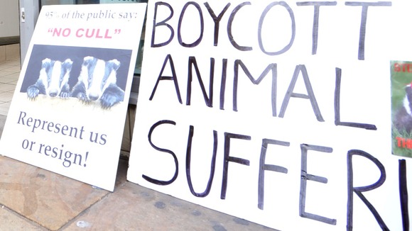 Animal rights placards outside a branch of Tesco in Nottingham city centre