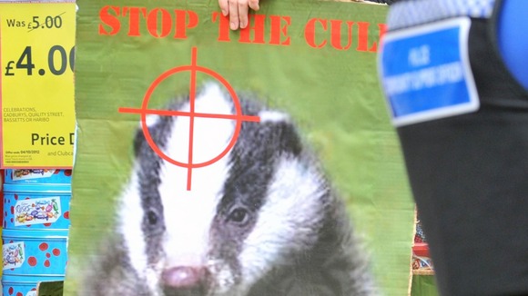 Animal rights campaigners placard
