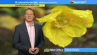 Simon Parkin presents the weather