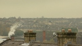 Houses